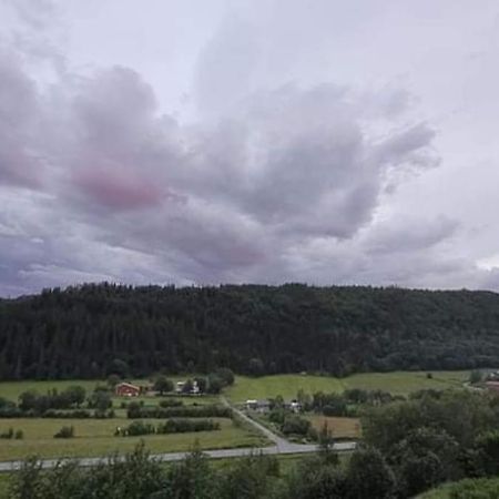 Leirfjord Skogan 아파트 외부 사진