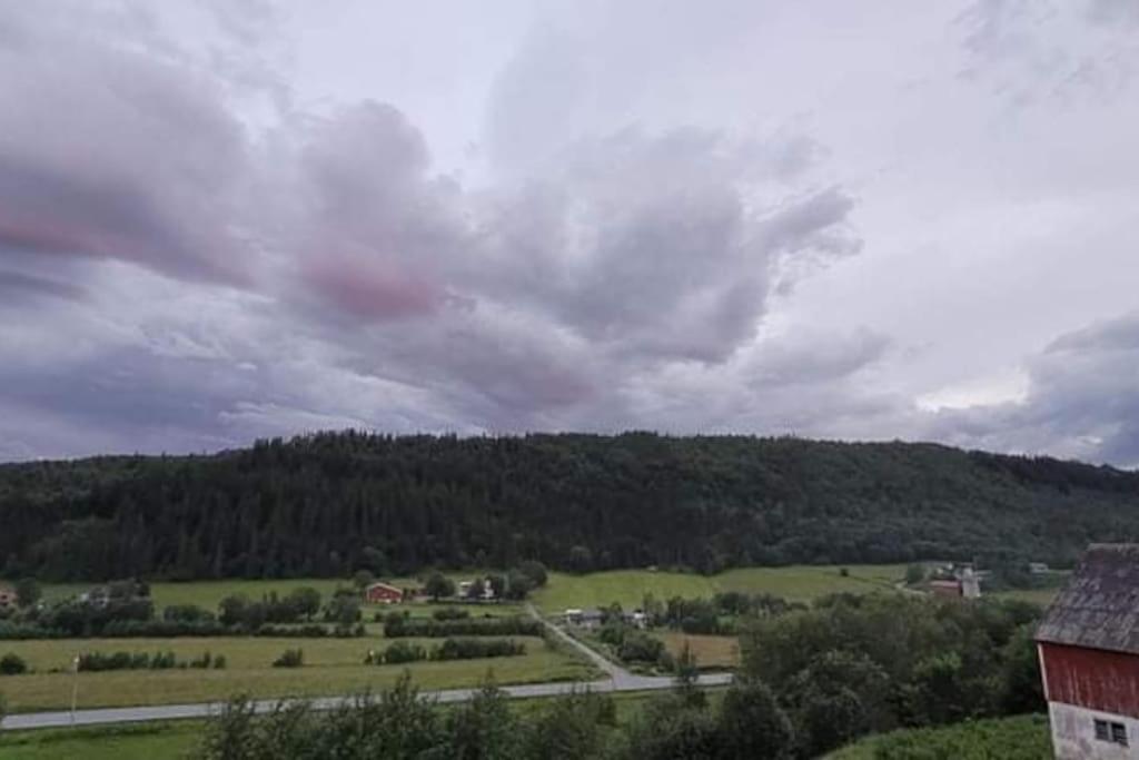 Leirfjord Skogan 아파트 외부 사진