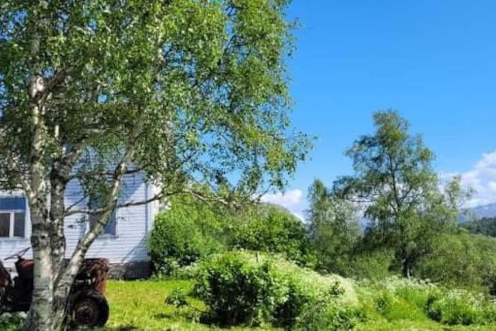 Leirfjord Skogan 아파트 외부 사진