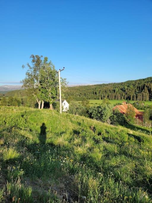 Leirfjord Skogan 아파트 외부 사진