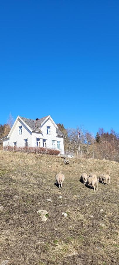 Leirfjord Skogan 아파트 외부 사진
